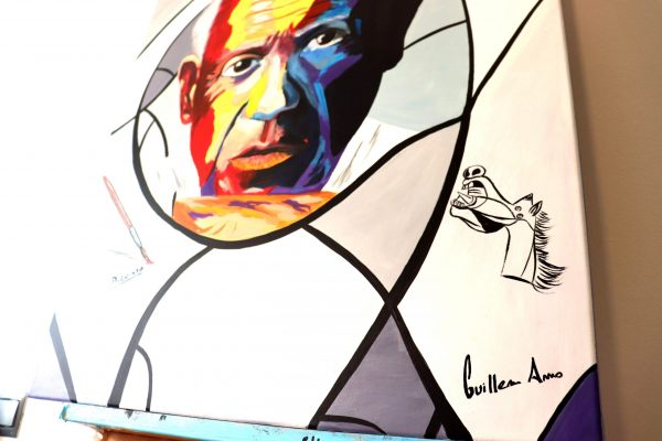 Picasso - Sèrie Explosió de color